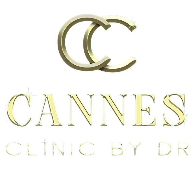 cannes-layout (1)